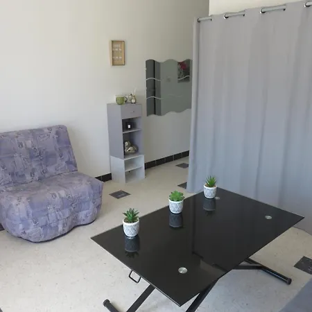 Apartmán Bord De Avec Terrasse Et Parking - Le Geranium *